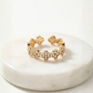 Anillo Éclat Royale Princess Amira